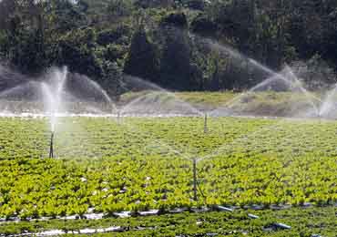 Irrigation Systems