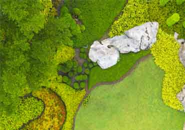 Landscape Design