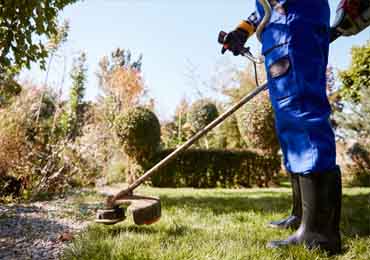 Garden Maintenance