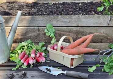 Organic Gardening